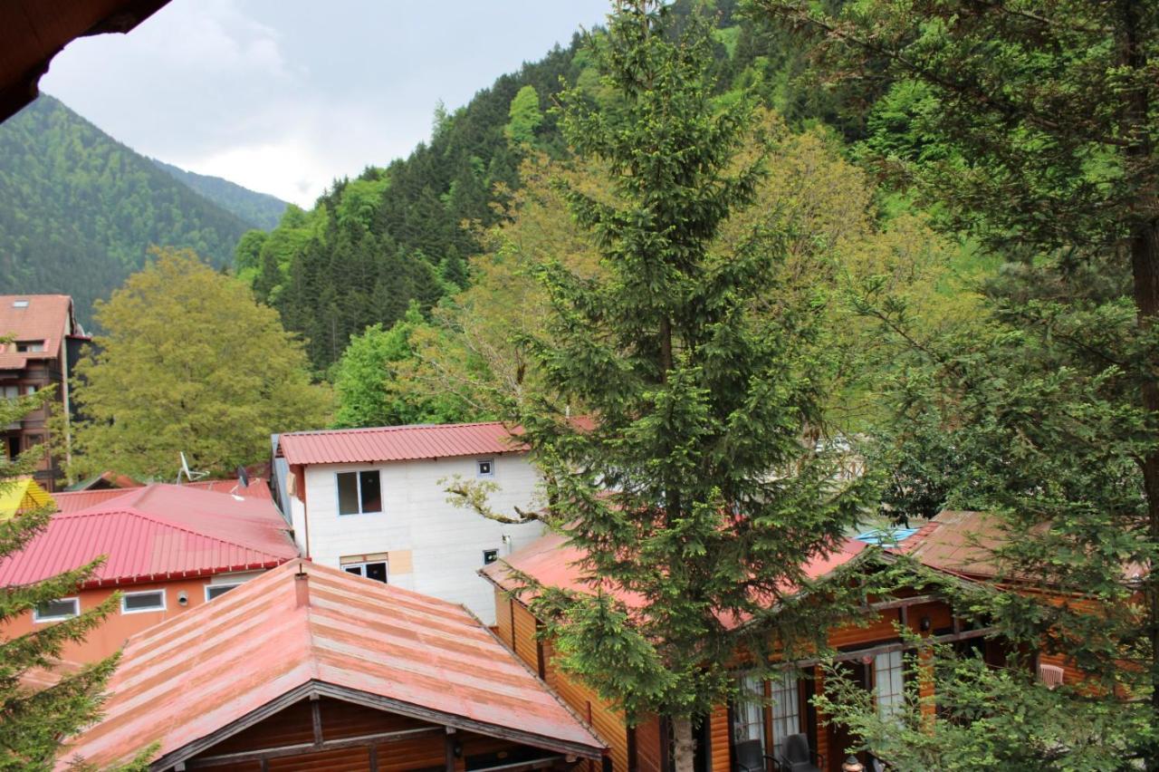 New Doga Resort Hotel Uzungöl Extérieur photo
